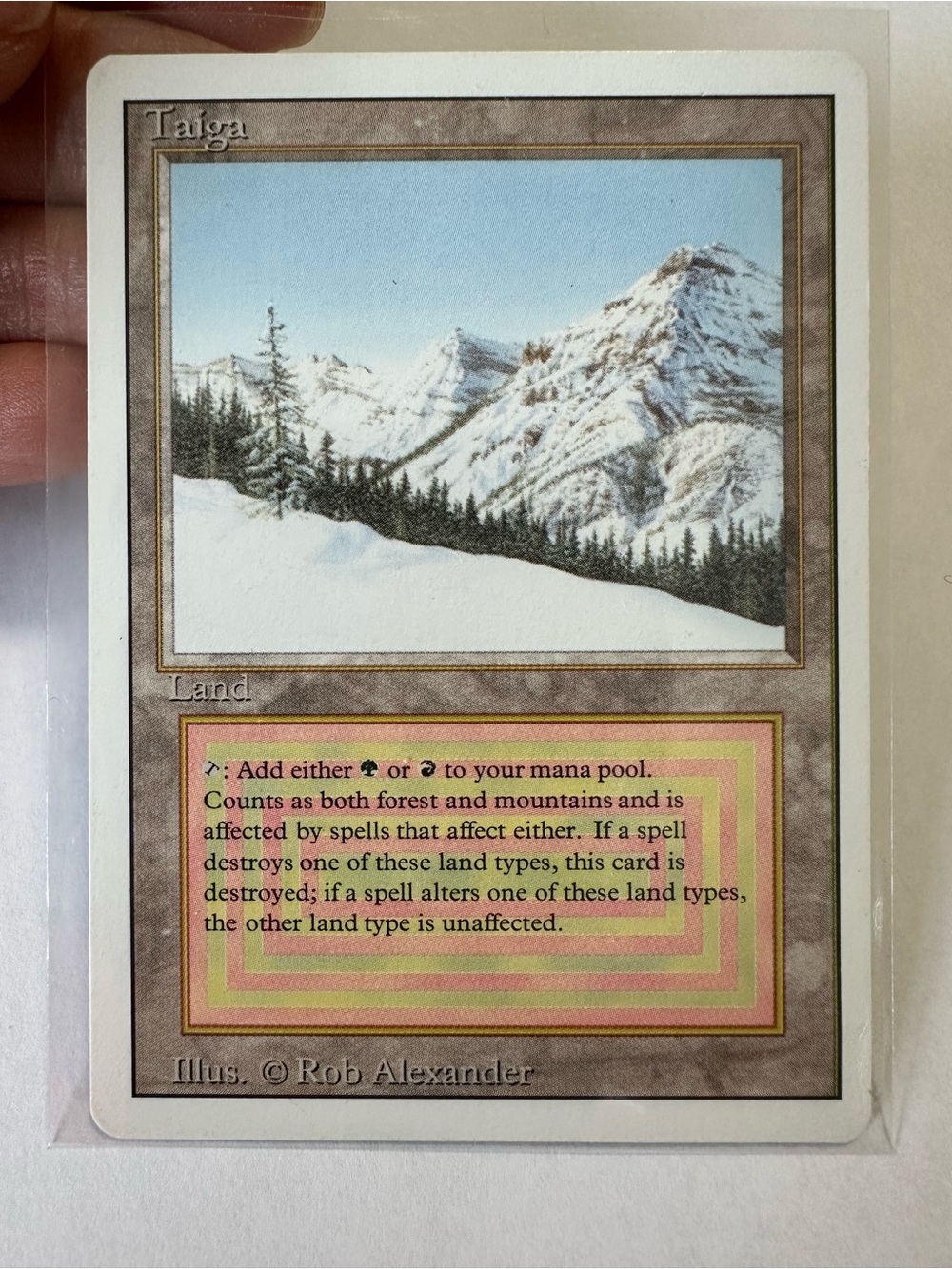 Magic card The Gathering Taiga Card - Rob Alexander Illustration (White Border)